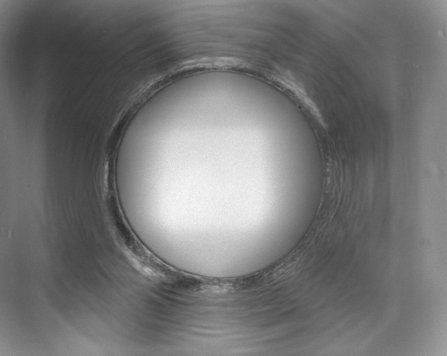 X0000073890110200608110920