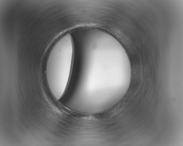 X0000073890112200608110920