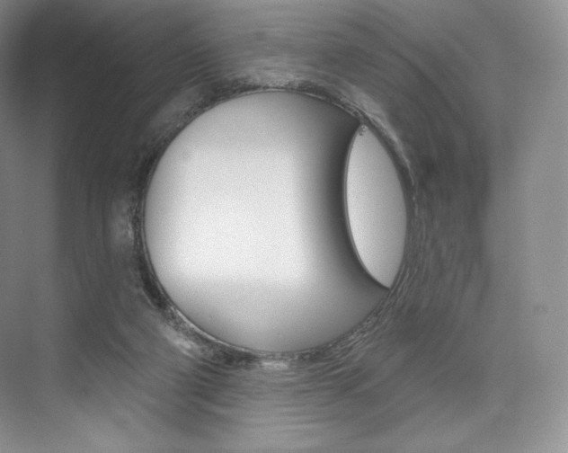 X0000073890114200608110920