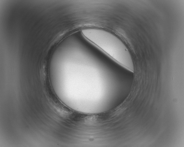 X0000073890116200608110920