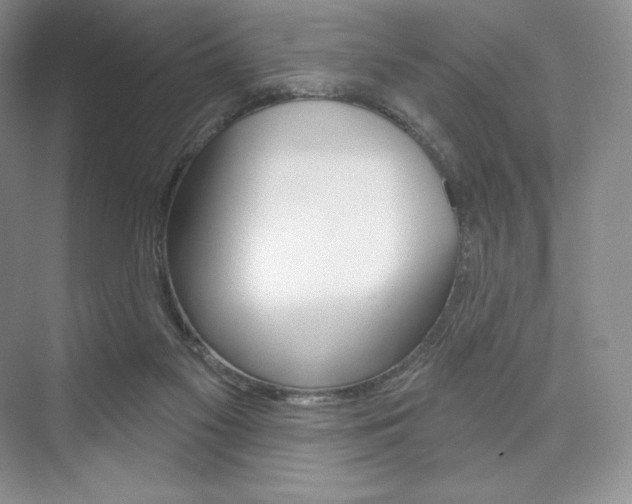 X0000073890117200608110920