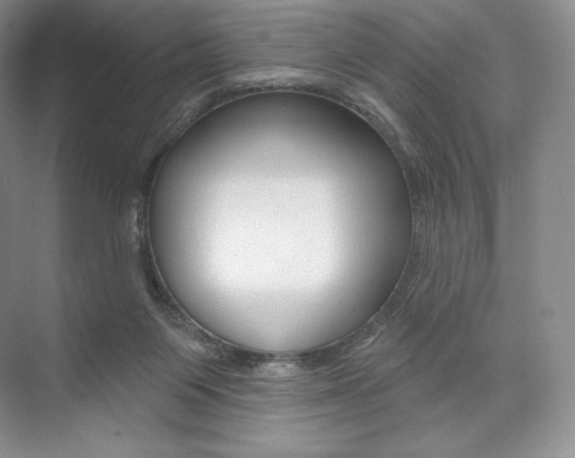 X0000073890119200608110920