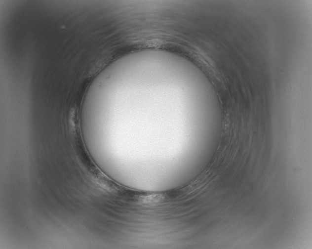 X0000073890122200608110920
