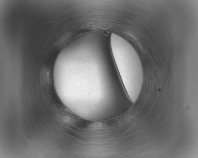 X0000073890123200608110920