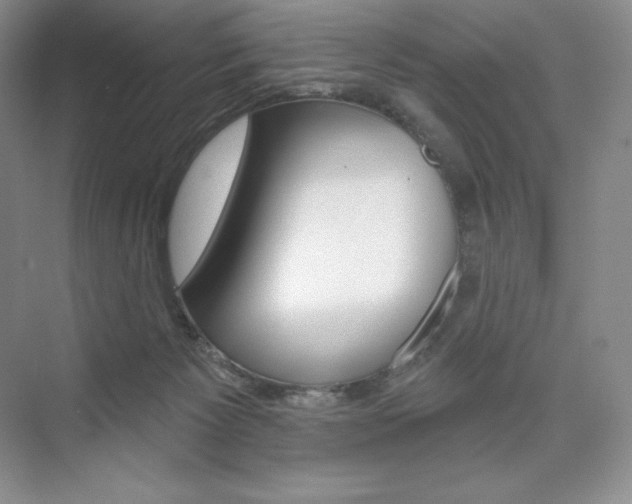 X0000073890125200608110920