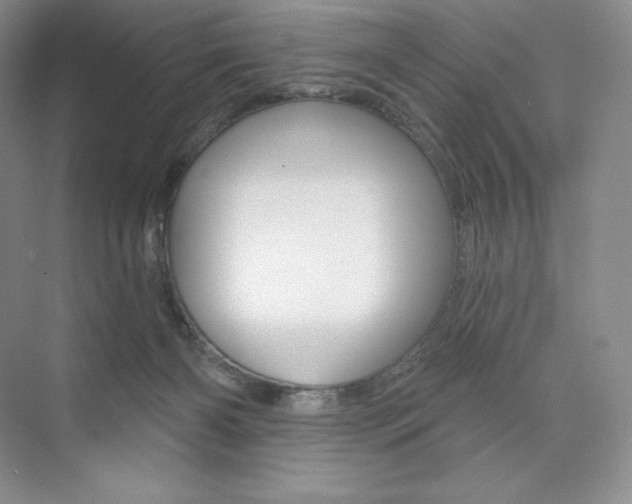 X0000073890126200608110920