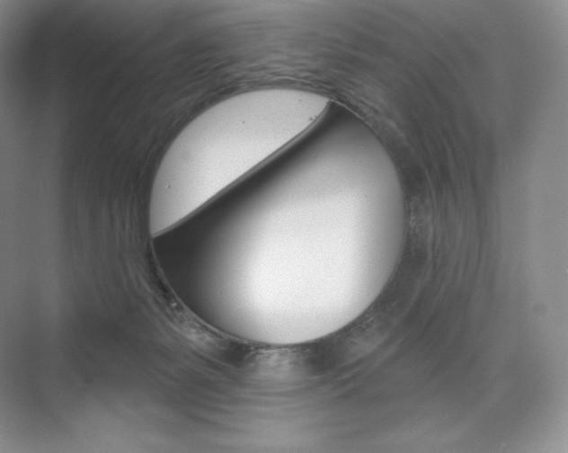X0000073890127200608110919