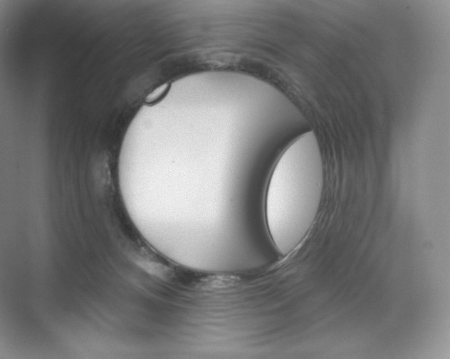 X0000073890128200608110919