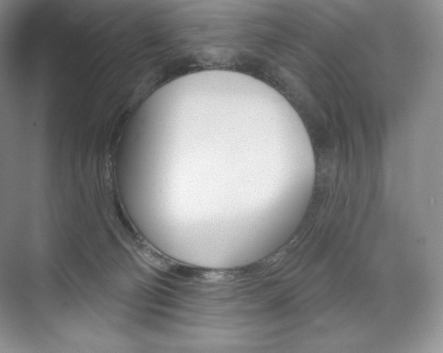 X0000073890130200608110919