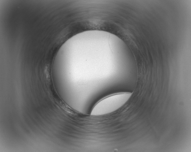 X0000073890131200608110919