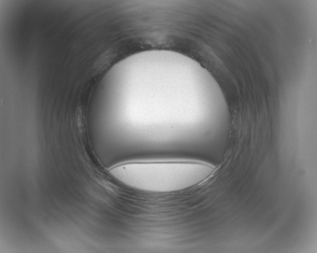 X0000073890132200608110919