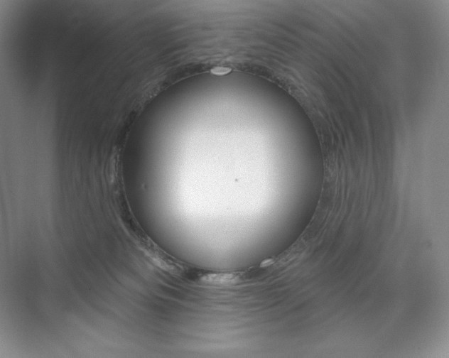 X0000073890133200608110919