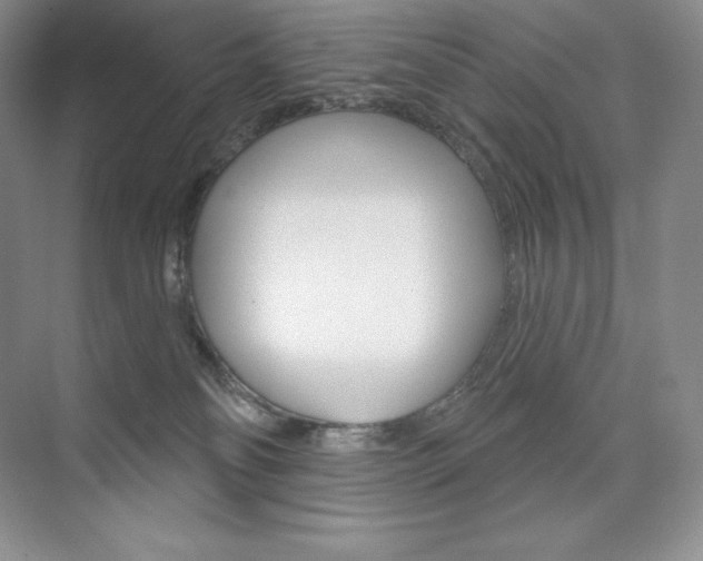 X0000073890134200608110919
