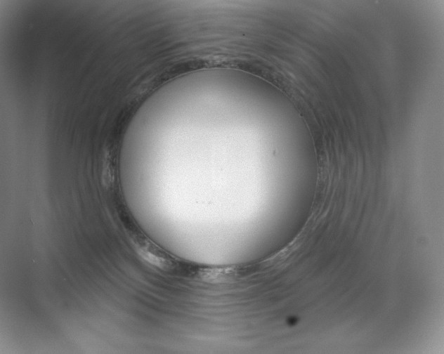 X0000073890136200608110919