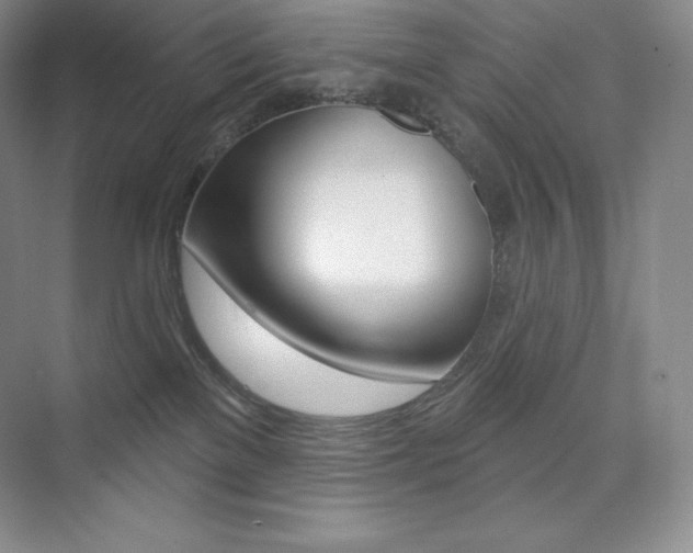 X0000073890137200608110919