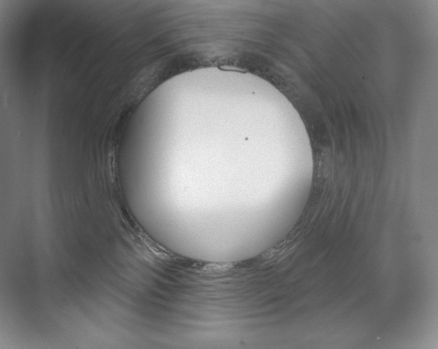 X0000073890138200608110919