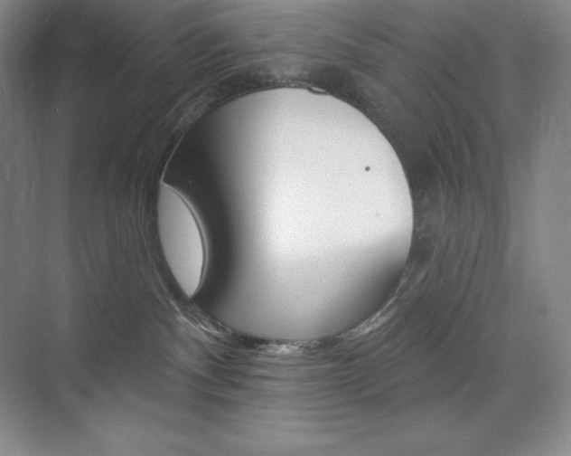 X0000073890140200608110919