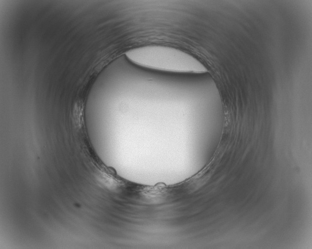 X0000073890142200608110919