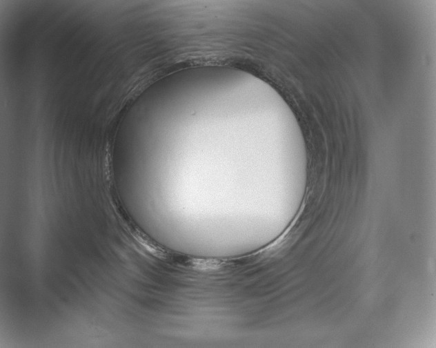 X0000073890144200608110919