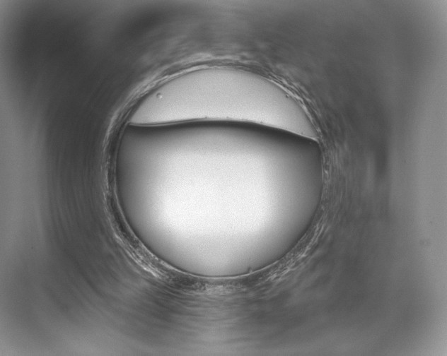 X0000073890149200608110918