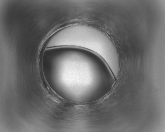 X0000073890150200608110918
