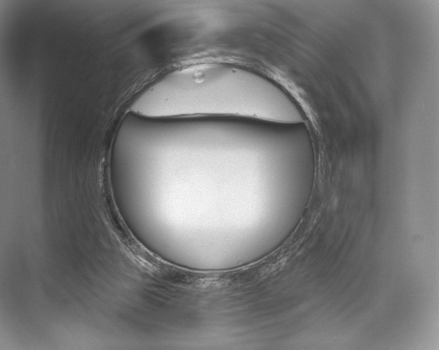 X0000073890153200608110919