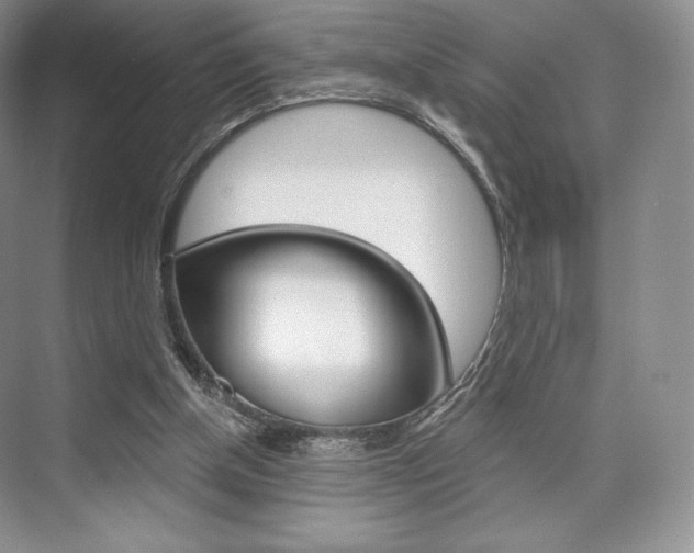 X0000073890154200608110919