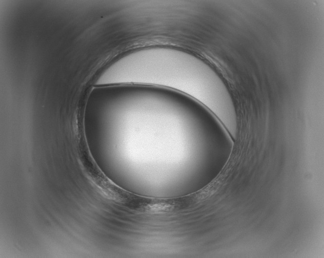 X0000073890158200608110919