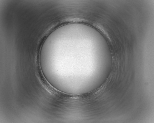 X0000073890159200608110919