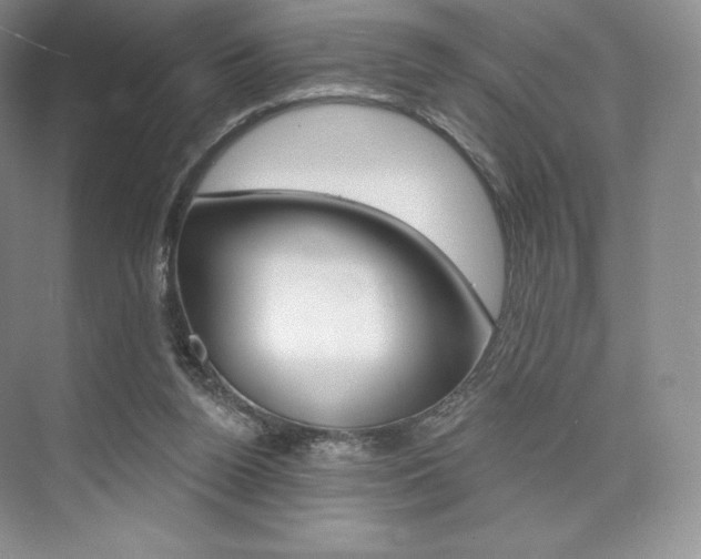X0000073890160200608110919