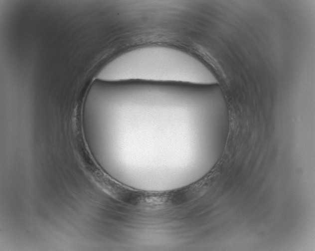 X0000073890163200608110919