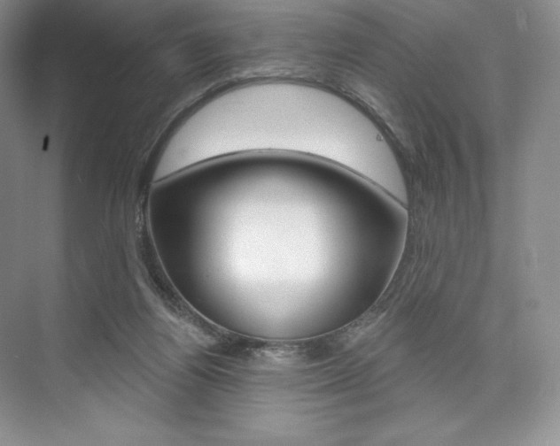 X0000073890164200608110919
