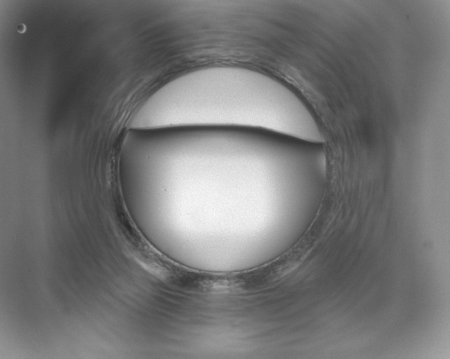 X0000073890165200608110919