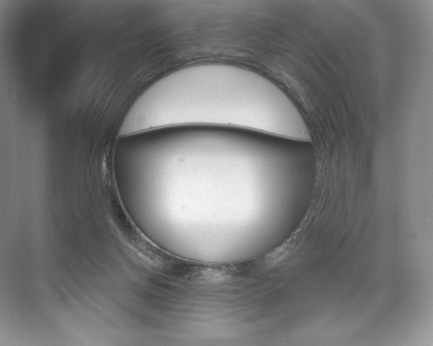 X0000073890166200608110919