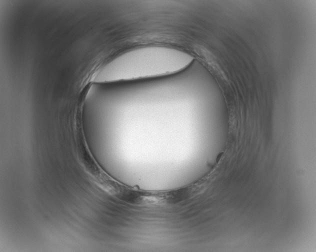 X0000073890167200608110919
