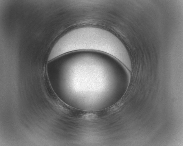 X0000073890168200608110919