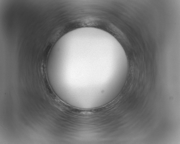 X0000073890169200608110919