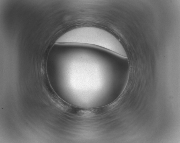 X0000073890170200608110919
