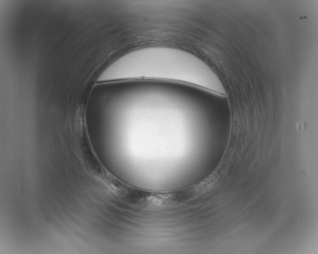 X0000073890172200608110919