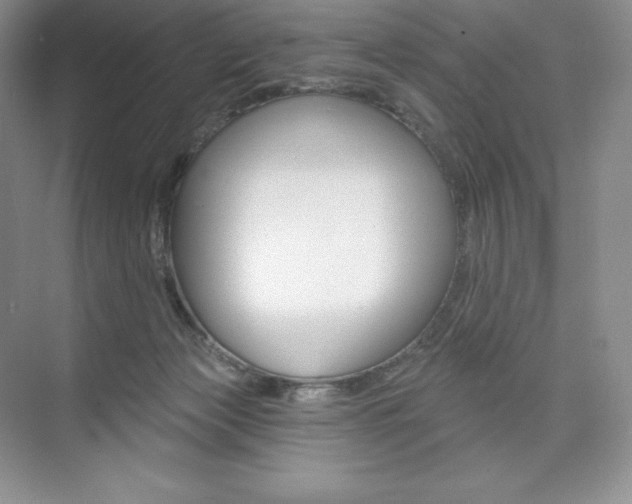 X0000073890173200608110919