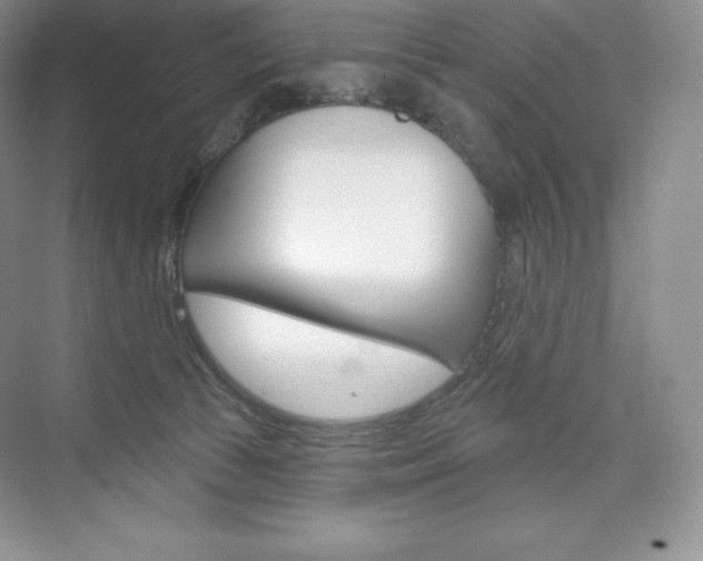 X0000073890177200608110919