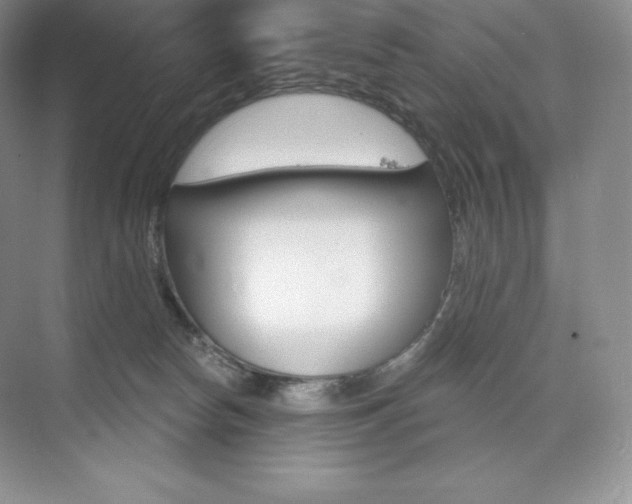 X0000073890178200608110919
