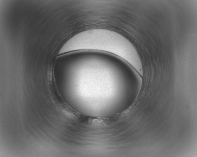 X0000073890180200608110919