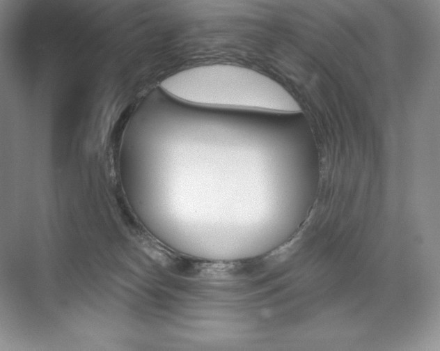X0000073890182200608110919
