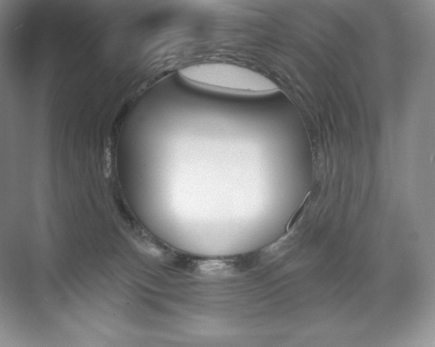 X0000073890183200608110919