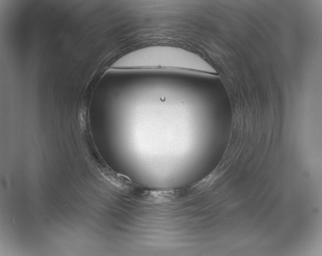 X0000073890188200608110919