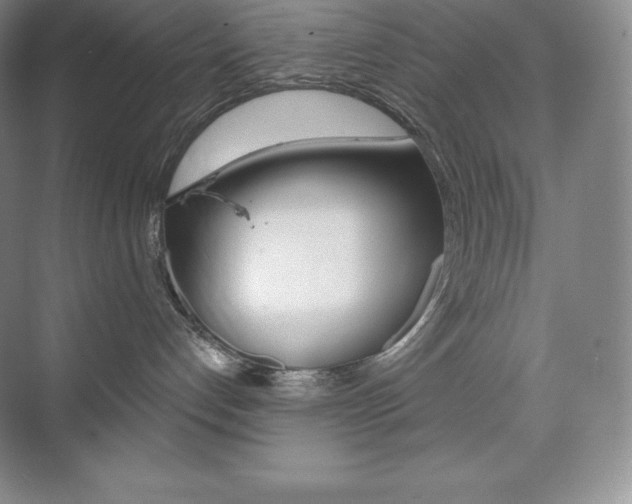 X0000073890192200608110919