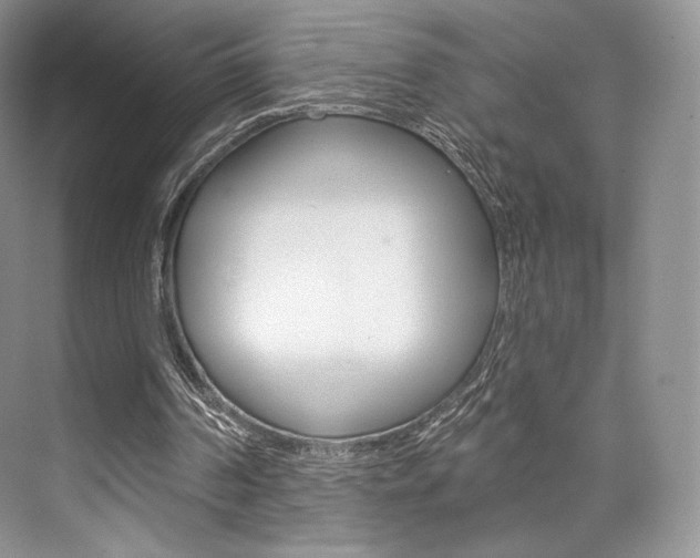 X0000073890194200608110918
