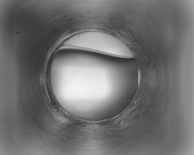 X0000073890195200608110918