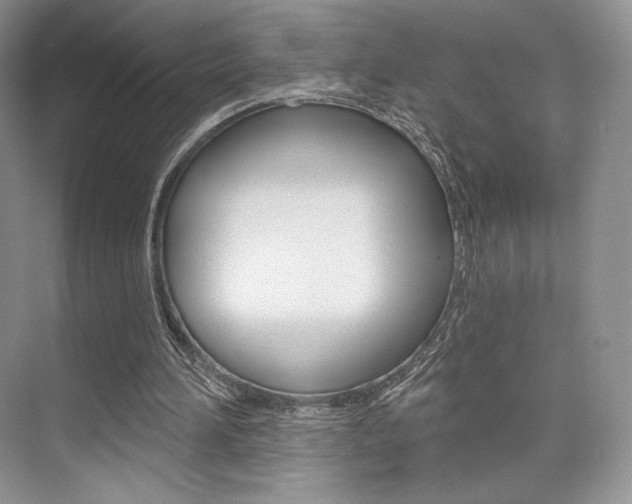 X0000073890196200608110918